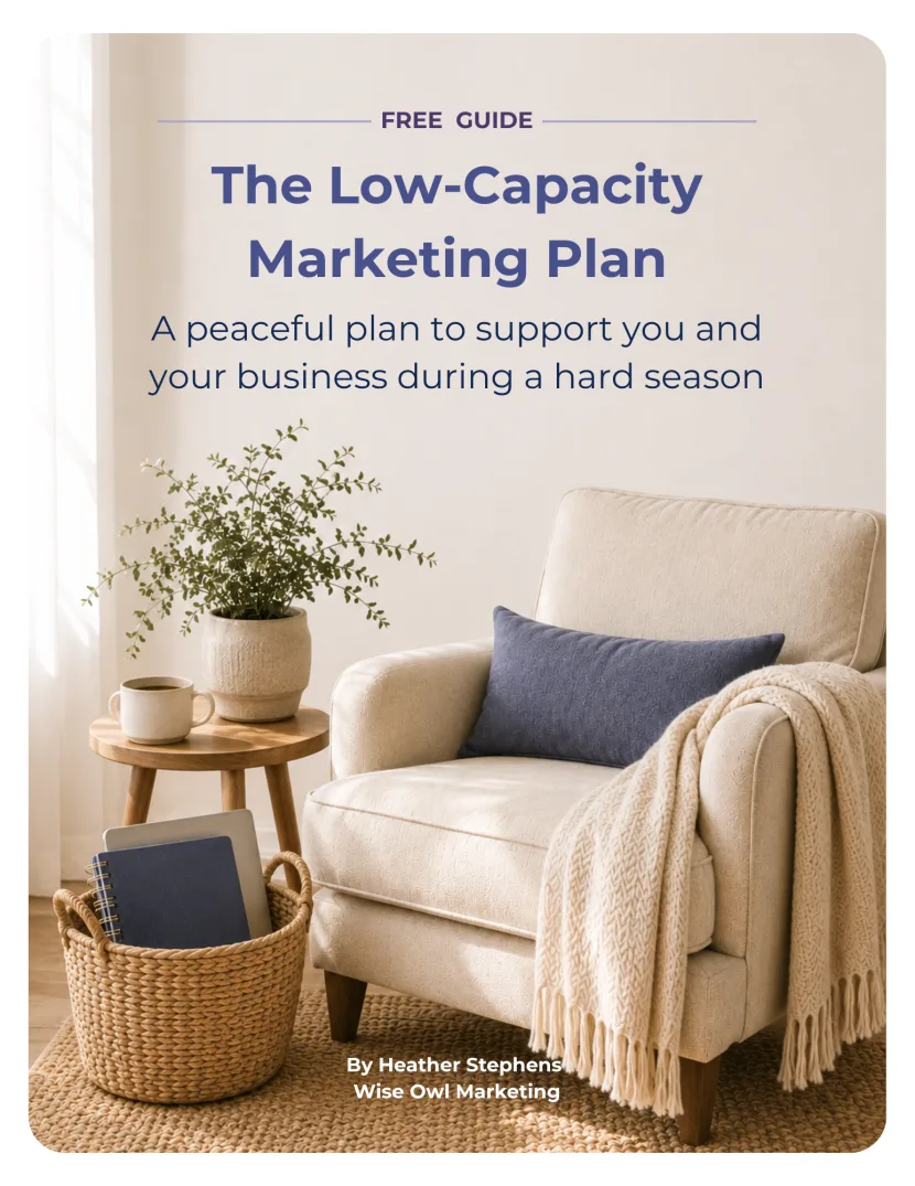 The Low-Capacity Marketing Plan cover