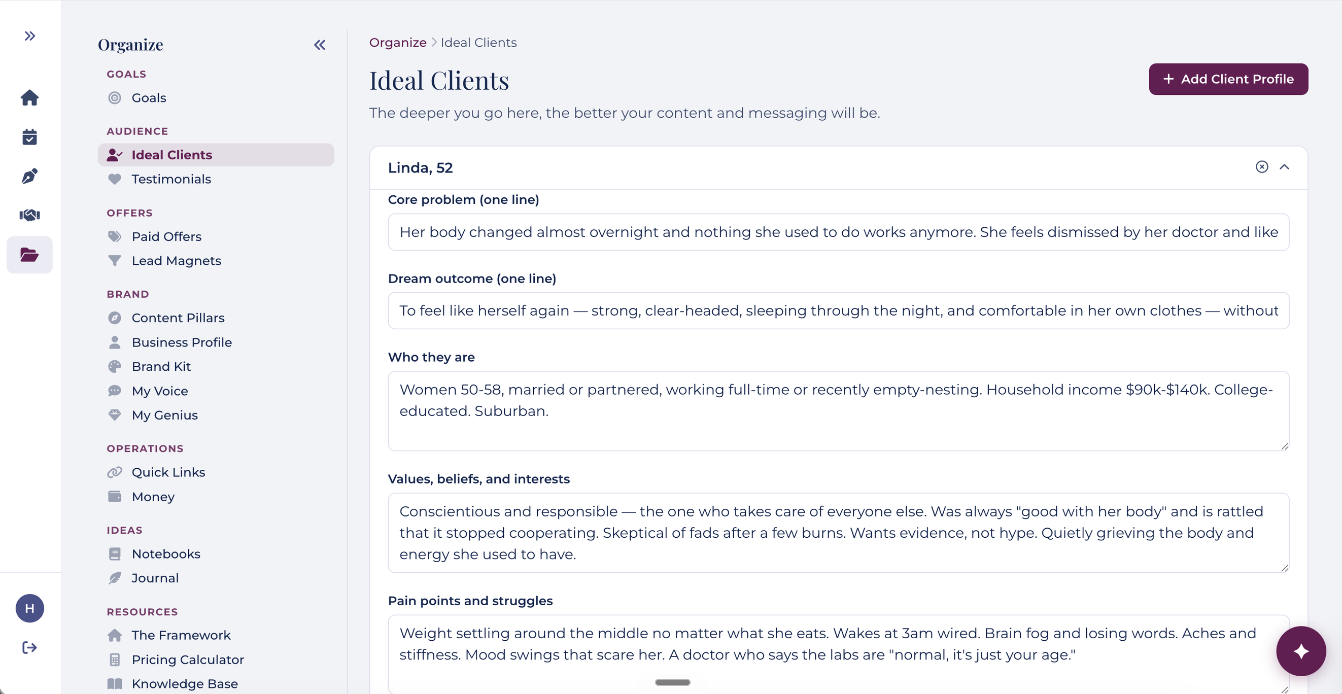 PeacefulBiz showing a detailed ideal-client profile
