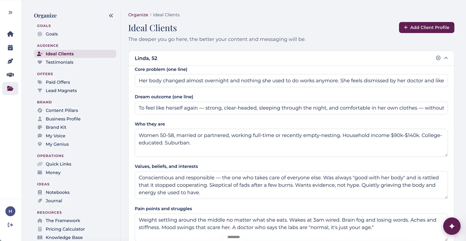 A detailed ideal client profile in PeacefulBiz